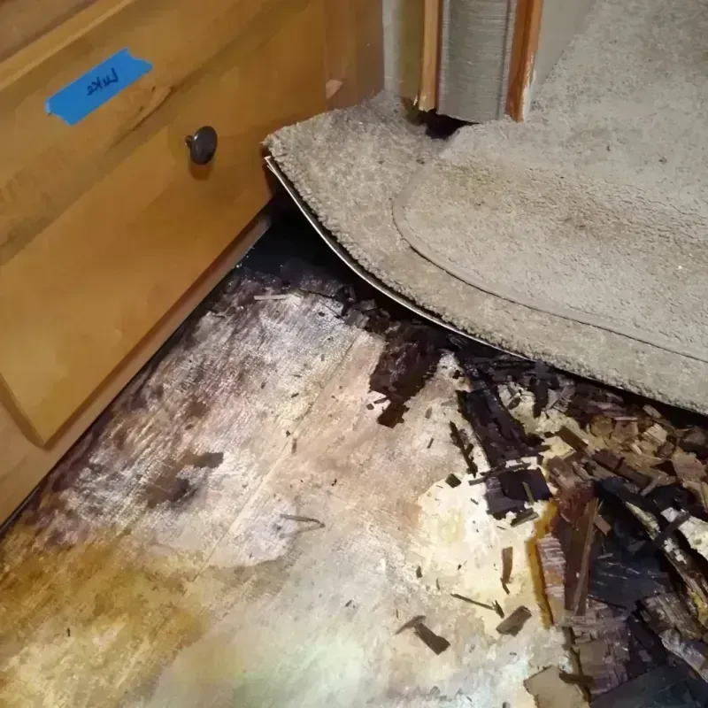 Wood Floor Water Damage in Exeter, CA